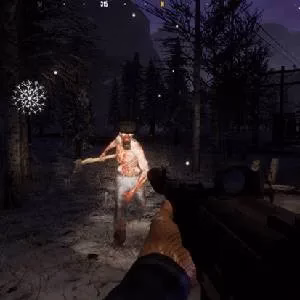 Anarchy Wolf's Law combat