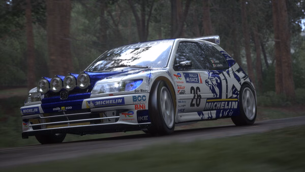 Screenshot of Assetto Corsa Rally showing a rally car with number 26 speeding on a forested dirt track.