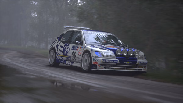 Assetto Corsa Rally screenshot showing a detailed rally car racing through a misty forest on a wet dirt road.